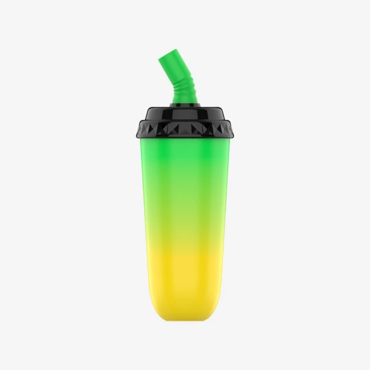 6000 Puffs Vape Device