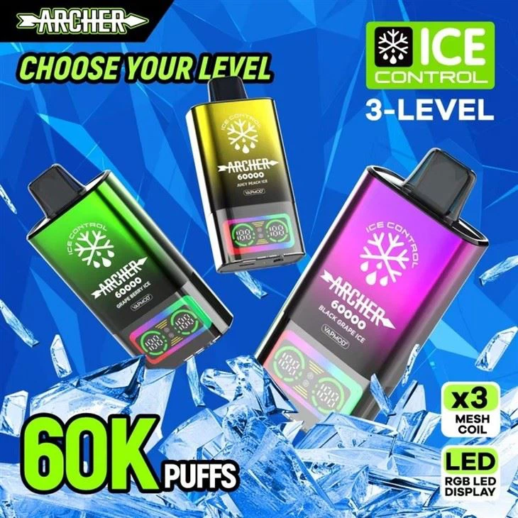VAPMOD Archer60K VAPE Control Ice price